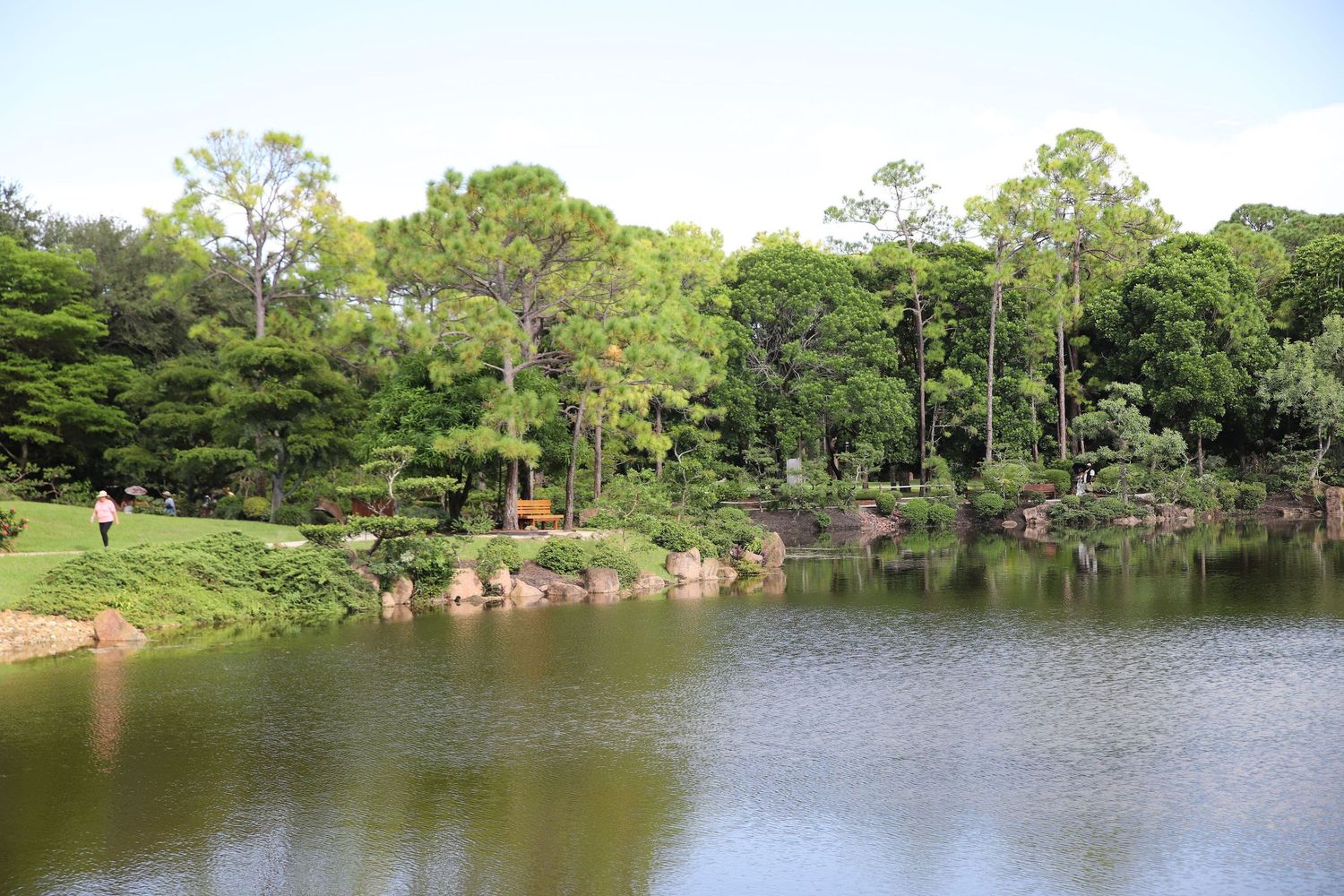 Scenic panoramic view of a tranquil lake surrounded by lush green trees and vegetation on a sunny day.