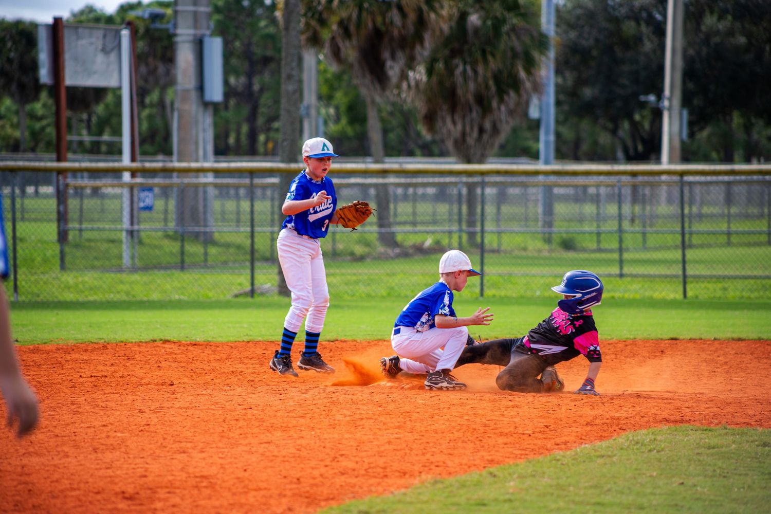 Baseball players practice on an orange clay baseball diamond field surrounded by green grass and palm trees.