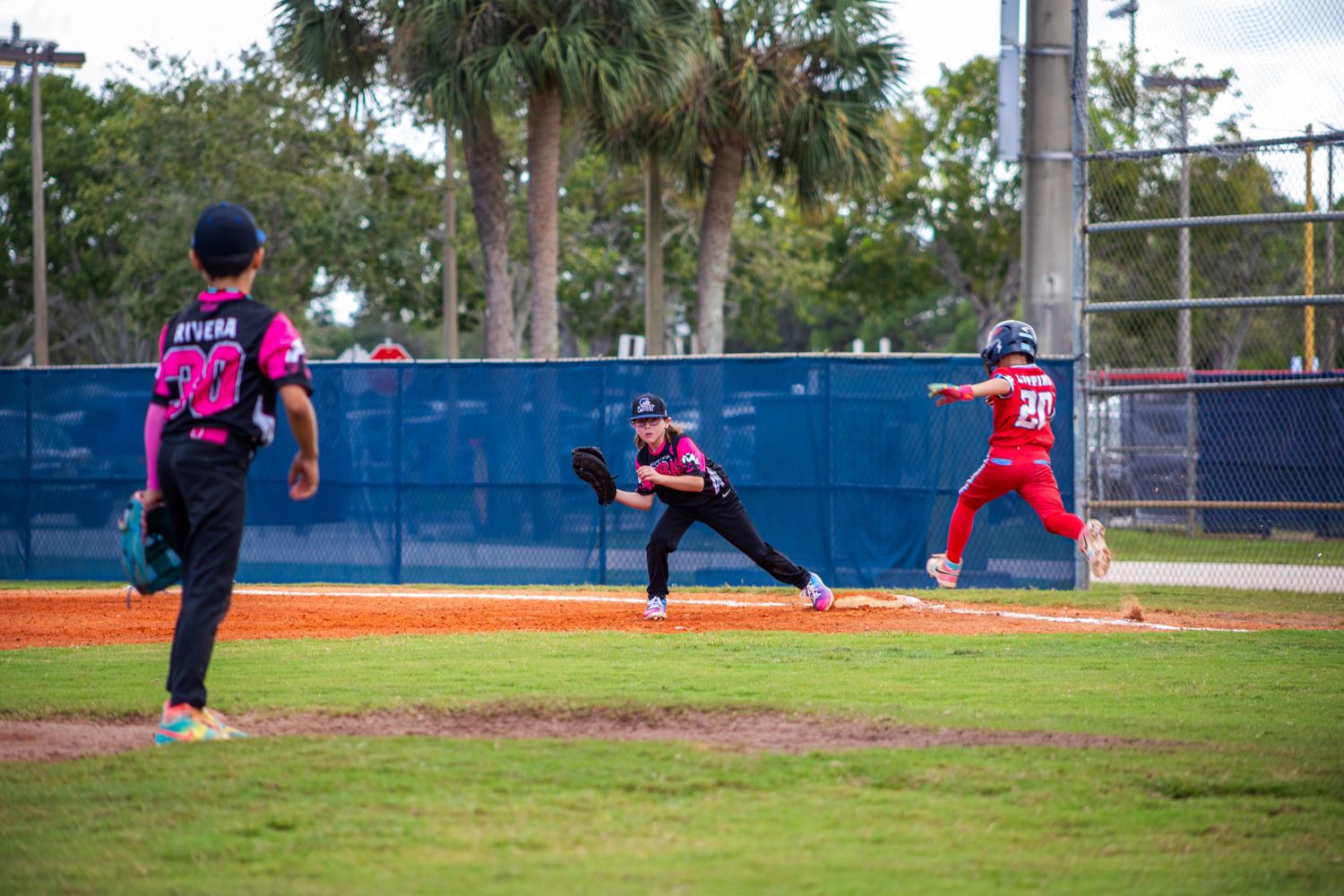Baseball players in action during game on field with palm trees and blue fence visible.
