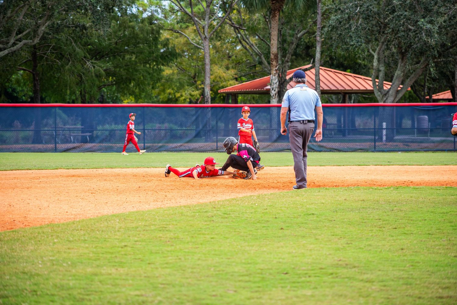 Baseball game action shot showing players spread across the field on a sunny afternoon.