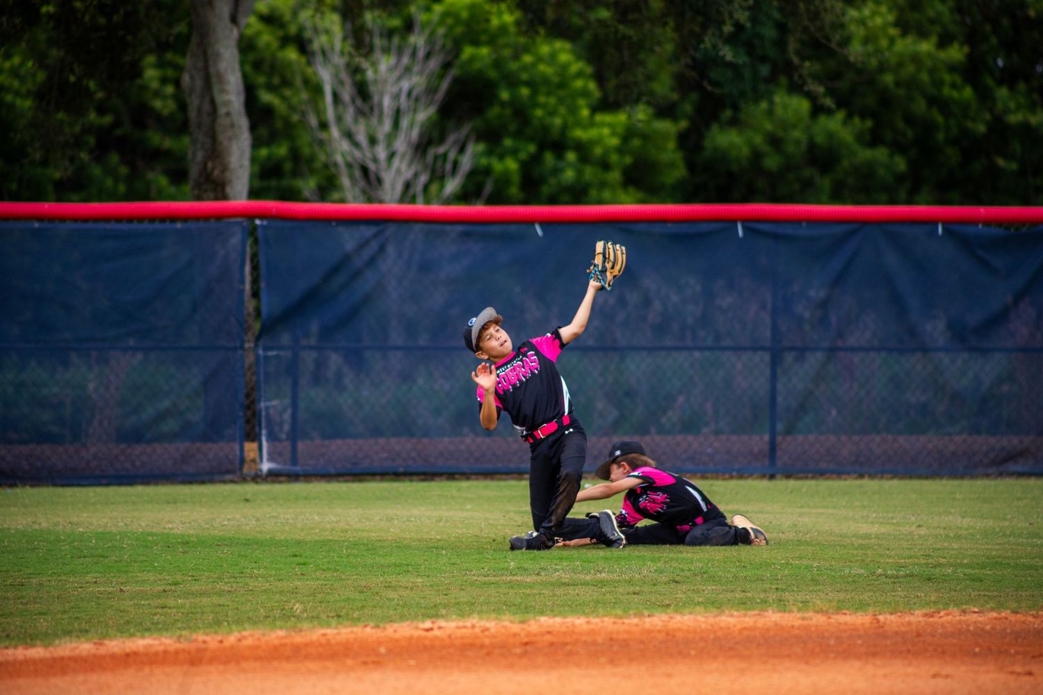 Softball player diving to make a catch on a baseball diamond with red fencing in the background.