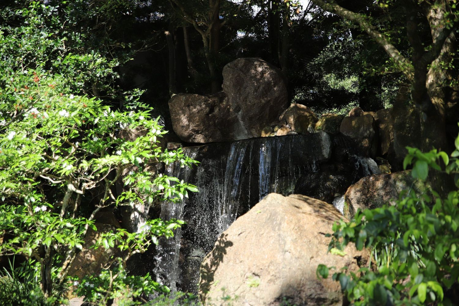 Scenic wooden footbridge spans over a tranquil stream surrounded by lush greenery and rocks in a peaceful garden setting.