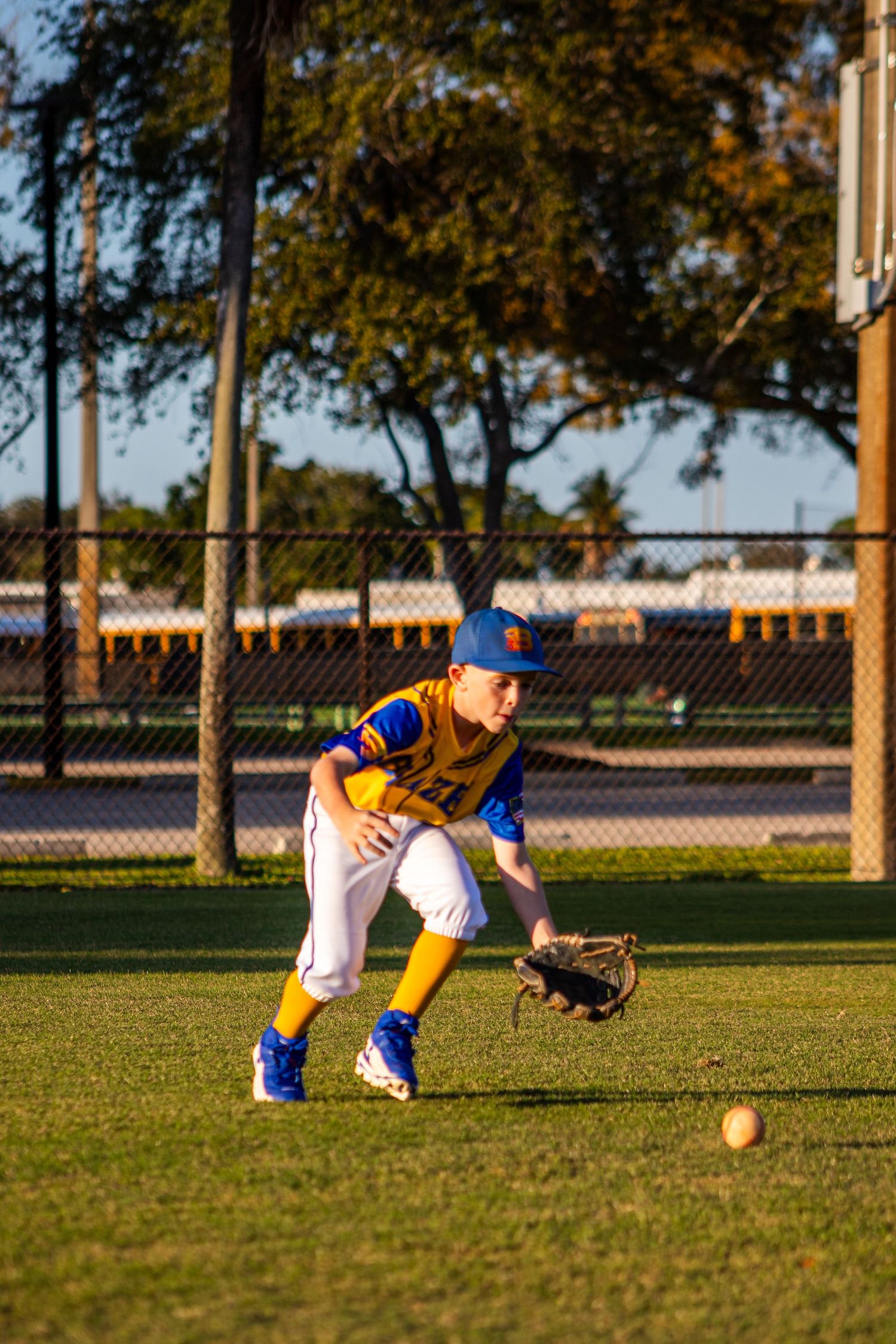 Baseball player in blue uniform dives to catch ground ball on grass field during game.