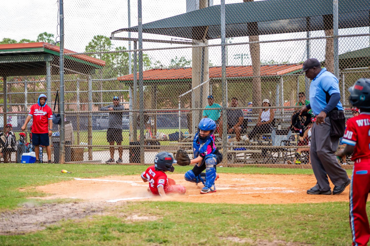 Youth baseball players in red and blue uniforms compete on a dusty diamond field during a little league game.