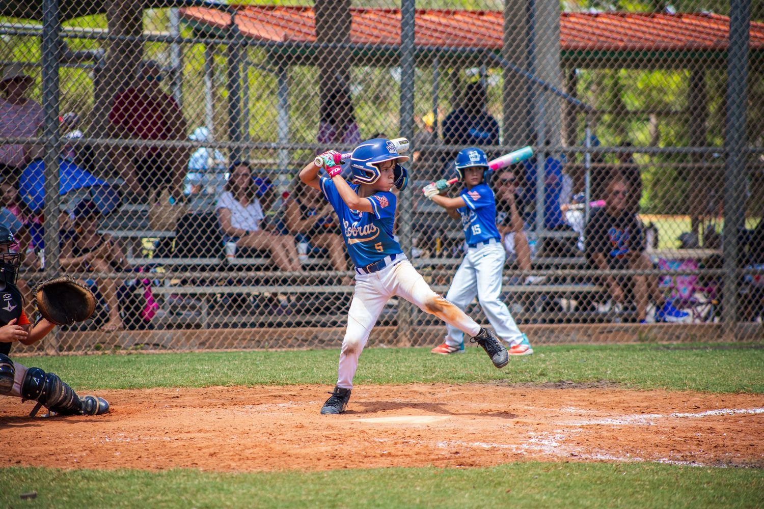 Baseball players compete during a game at a sunlit field with chain link fence and trees in background.