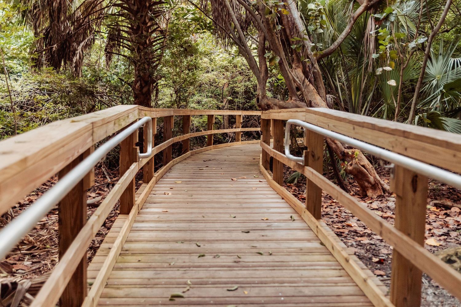 A curved wooden boardwalk path winds through lush tropical vegetation in a nature park.