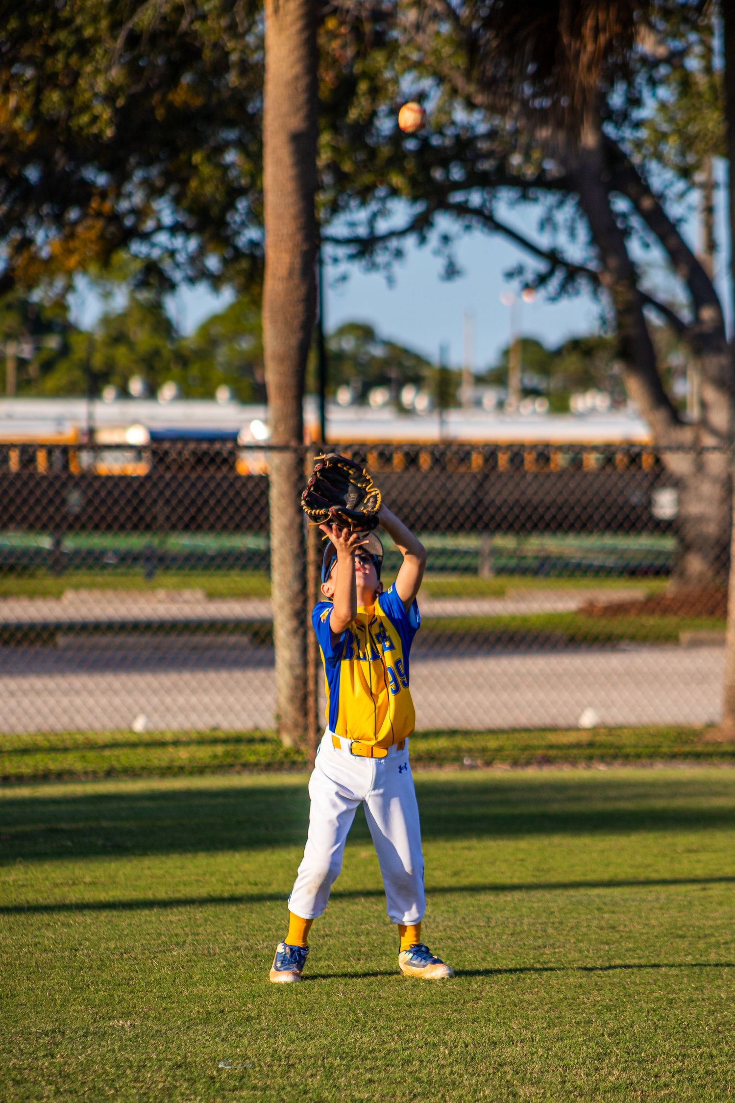 Youth baseball players practicing catching drills on green grass field.