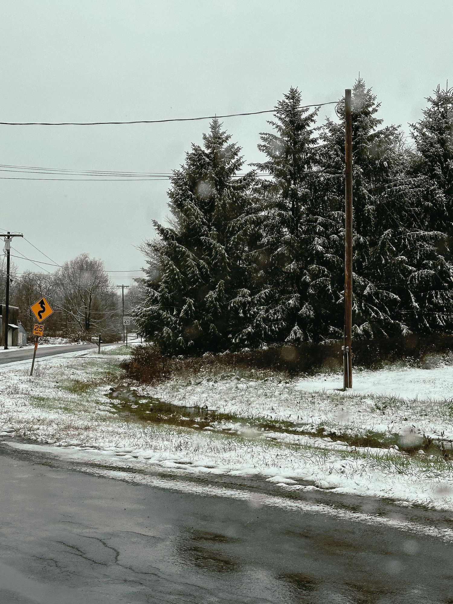 Snowy winter road with evergreen trees and power lines on a cloudy day.