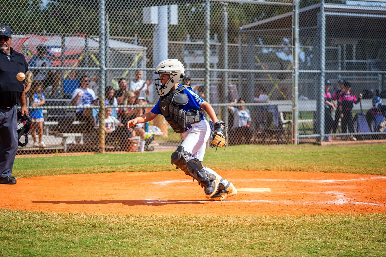 A baseball game in progress showing multiple action shots on a dirt diamond field with players and spectators.