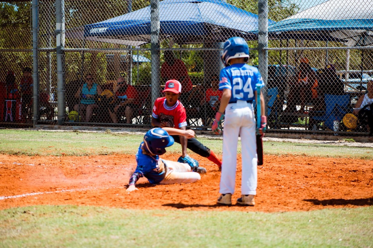 Baseball play at home plate with players in red and blue uniforms as one slides into base.