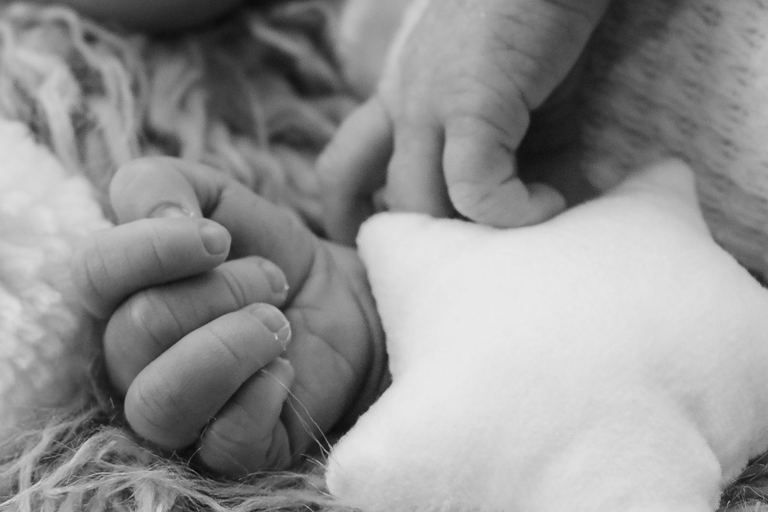 Black and white photo of a tiny baby hand gently touching an adult hand in an intimate loving moment.