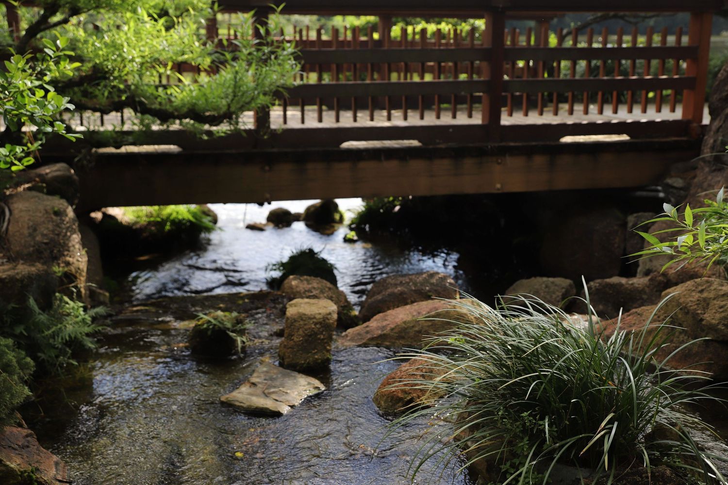 Traditional Japanese garden bridge stretches across a serene pond with stone landscaping and natural foliage.