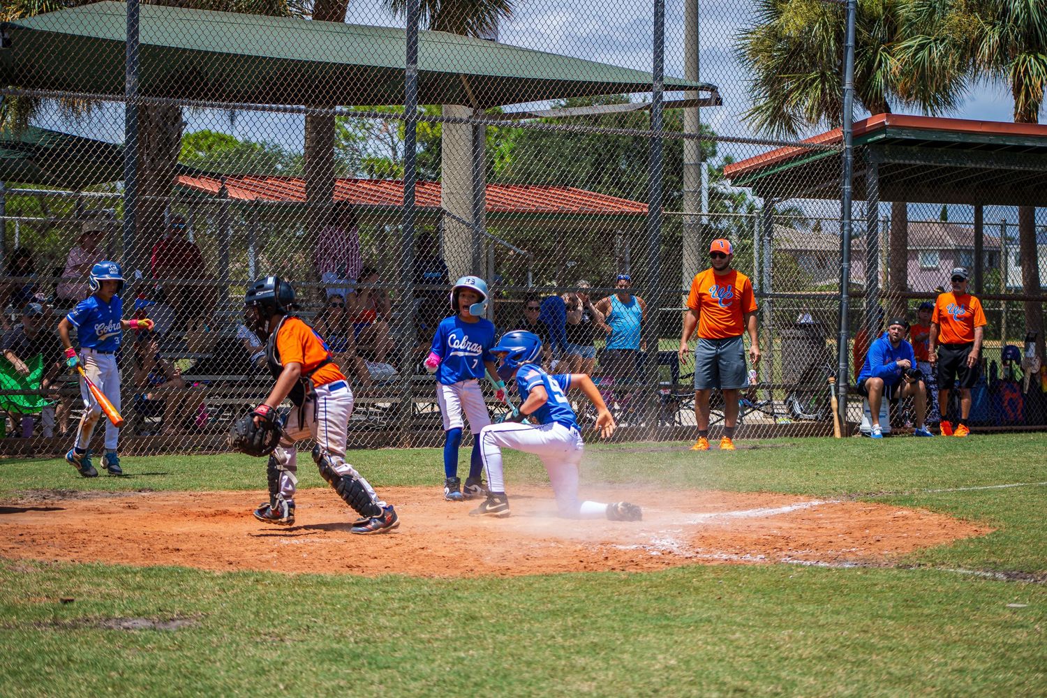 Baseball players compete in a recreational league game on a sandy field surrounded by palm trees and warm sunshine.