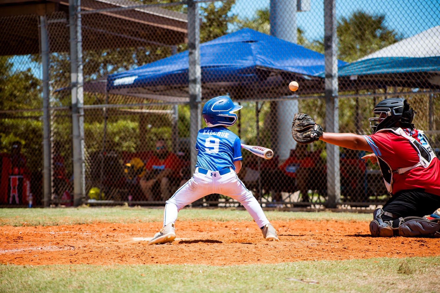 Little league batter in blue uniform stands ready at home plate during a baseball game.