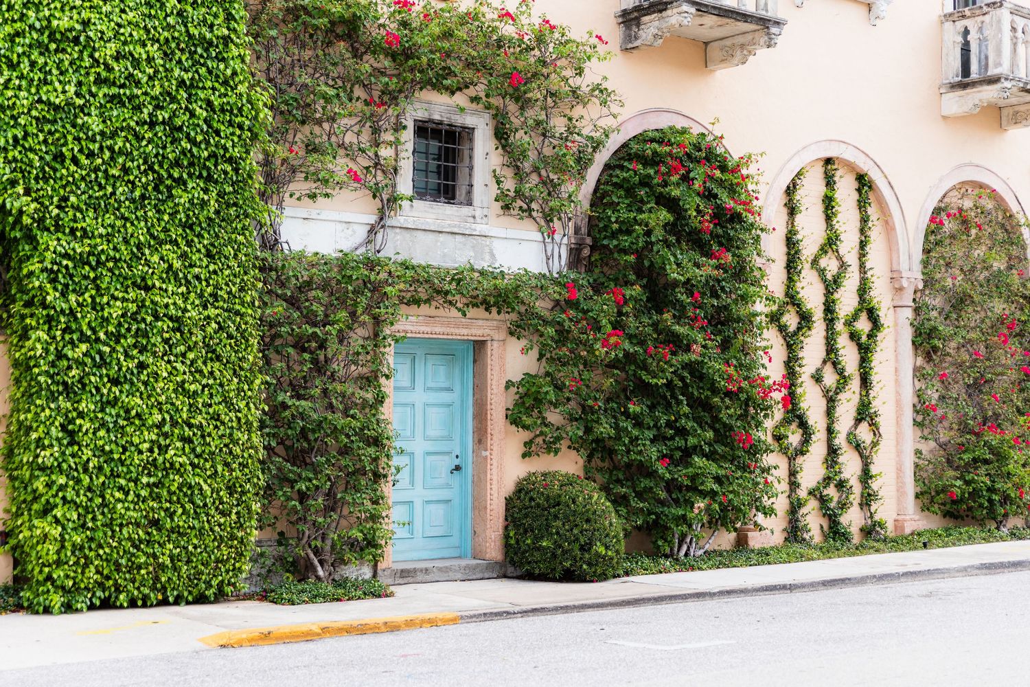 Mediterranean style building entrance with turquoise door framed by climbing red roses and green ivy covered walls.