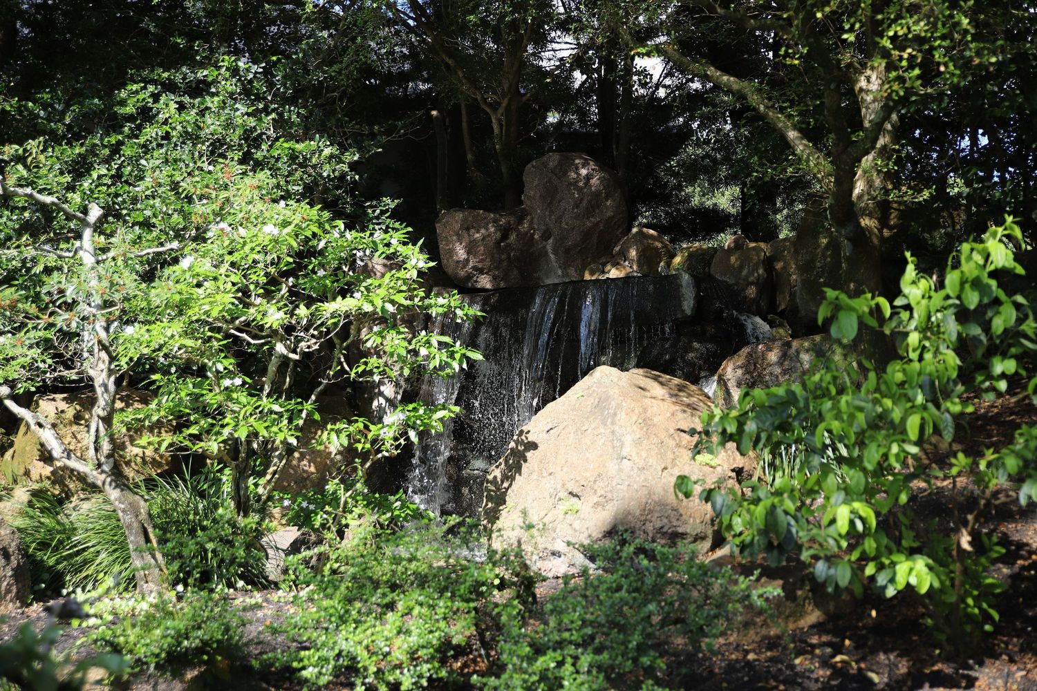 A scenic forest trail surrounded by green foliage and large rock formations in natural sunlight.