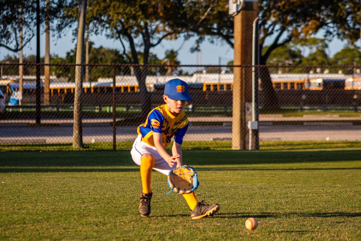 Baseball or softball field with grass and dirt infield during golden hour lighting.