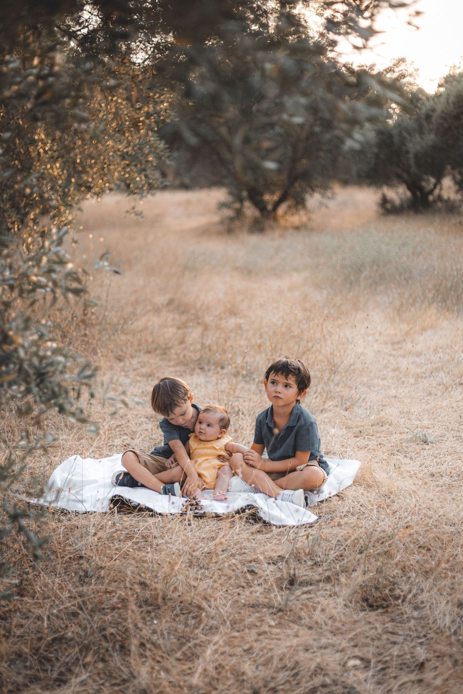 Trois frères et soeurs assis sur une couverture dans un champ d'herbes hautes en Provence à Lourmarin