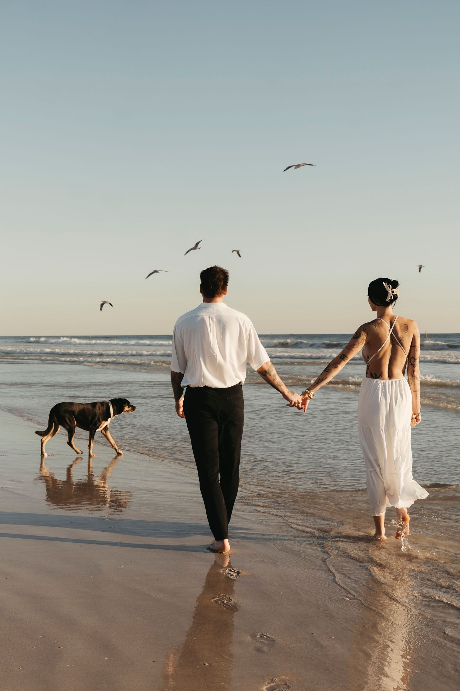 A couple walks along the beach at sunset with their dog as seabirds fly overhead.