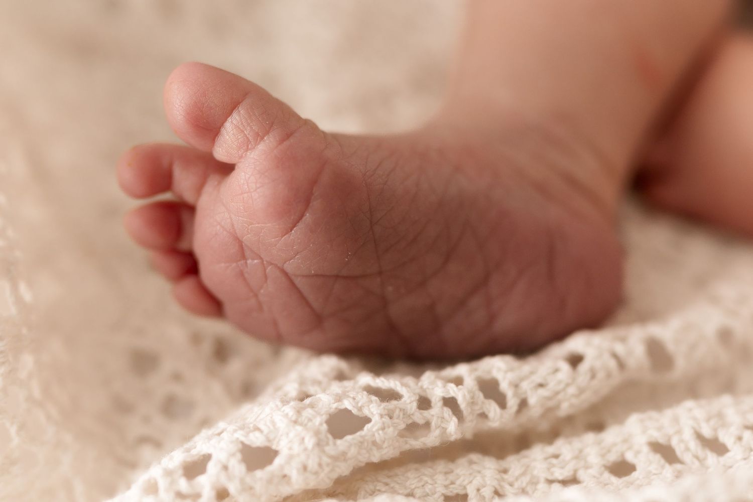 Close-up of tiny newborn baby foot on delicate lace fabric. Meg Rose Photos Perth WA.