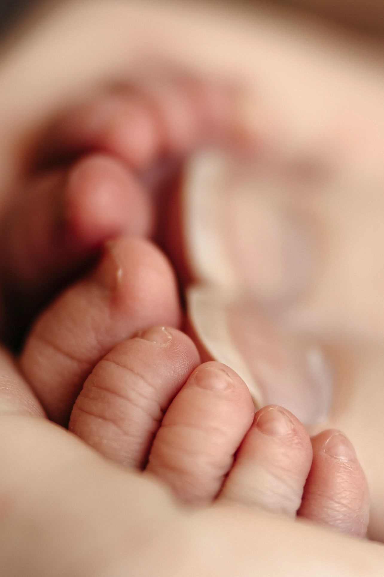 Close-up of tiny newborn baby toes and feet held gently in an adult hand, showcasing delicate skin and small nails.