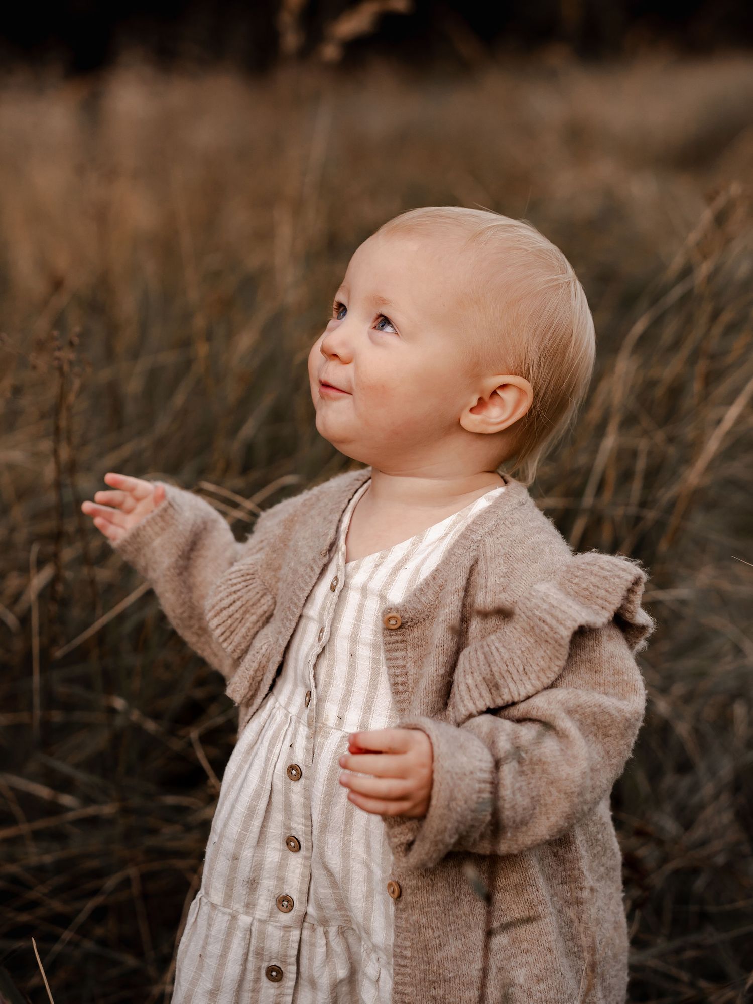 A small child in a beige cardigan stands in tall autumn grass looking upward with wonder.