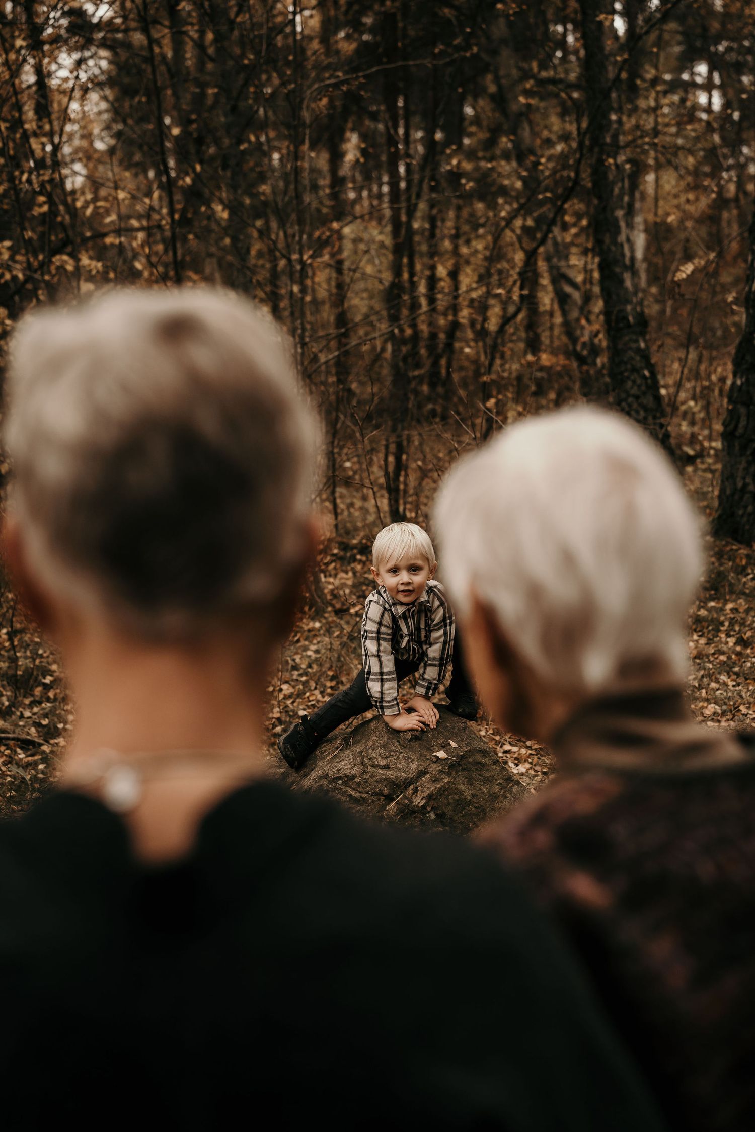 Moody autumn forest scene with two figures in silhouette watching a small child on a fallen tree trunk.