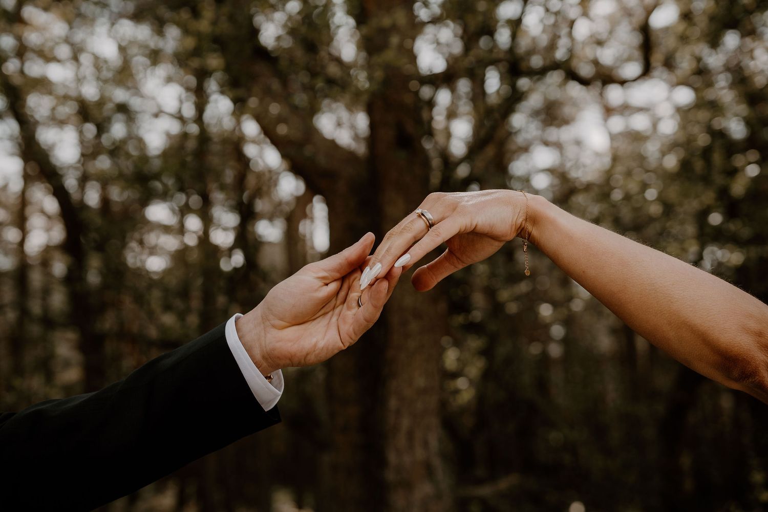 Two hands reach out to touch each other tenderly in a sunlit forest setting.