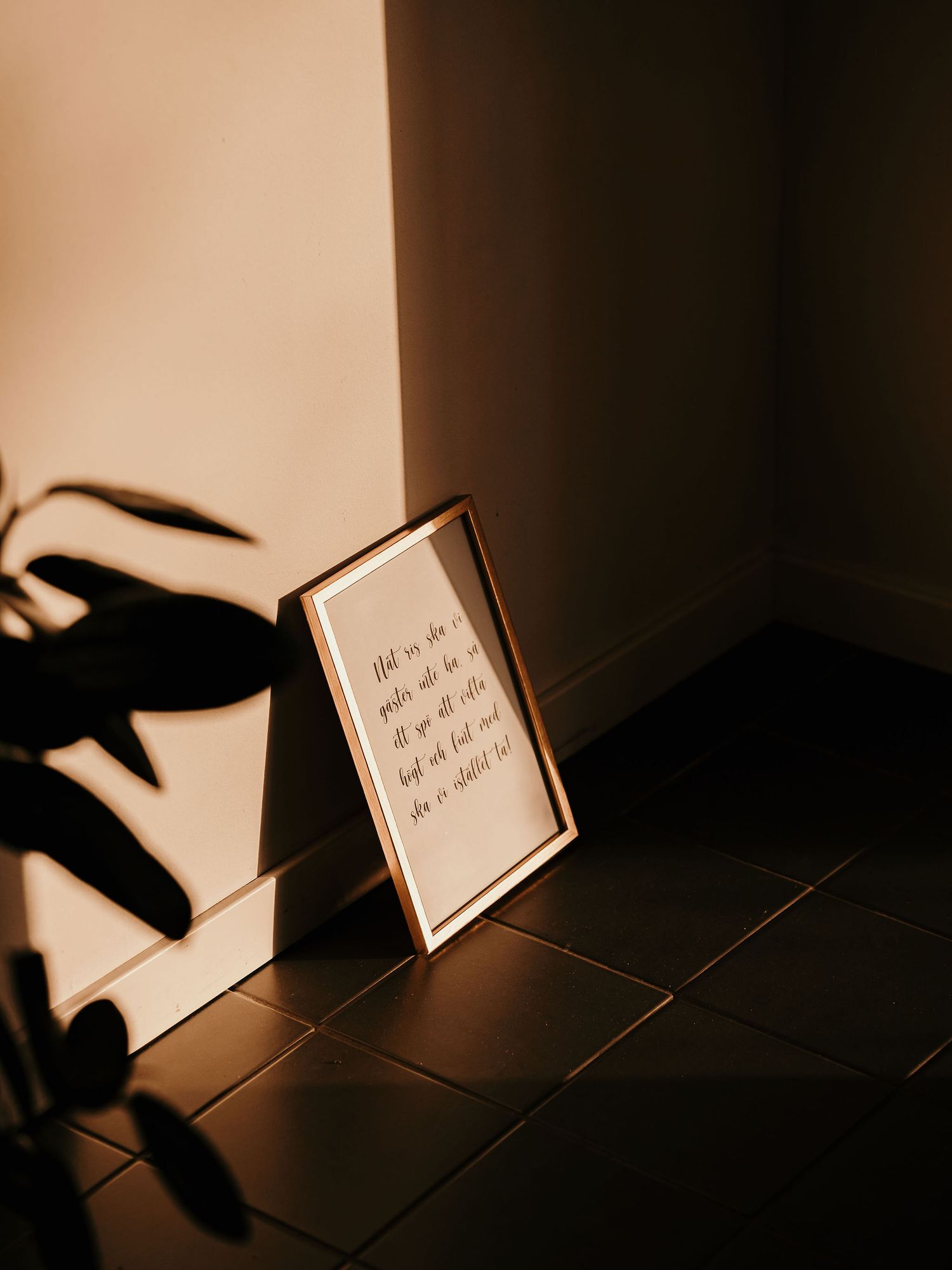 Small framed quote on dark tiles with dramatic shadows and plant silhouette creating moody atmosphere in warm lighting.