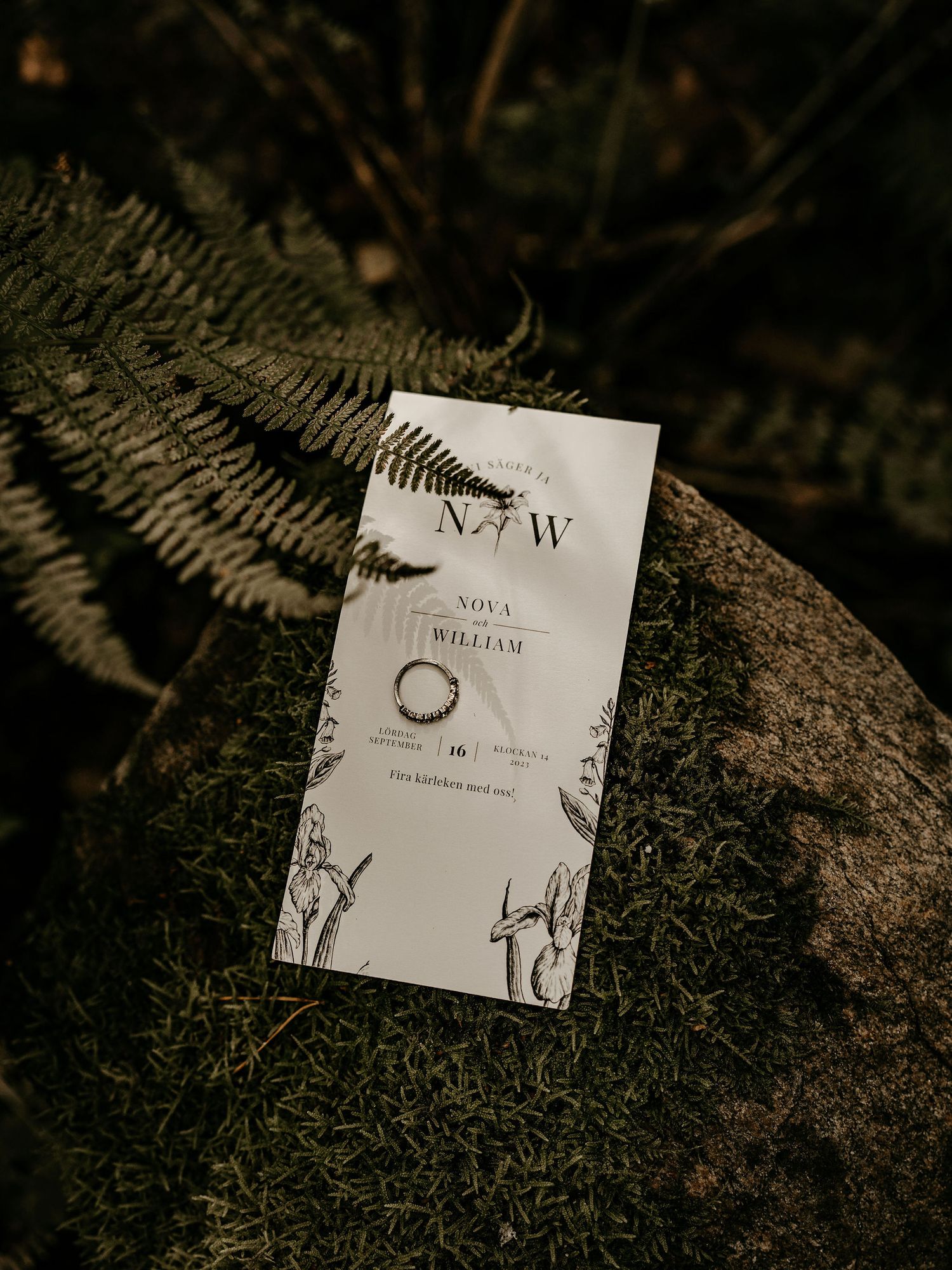 An elegant wedding invitation with monogram W lies on mossy ground surrounded by delicate ferns in moody lighting.