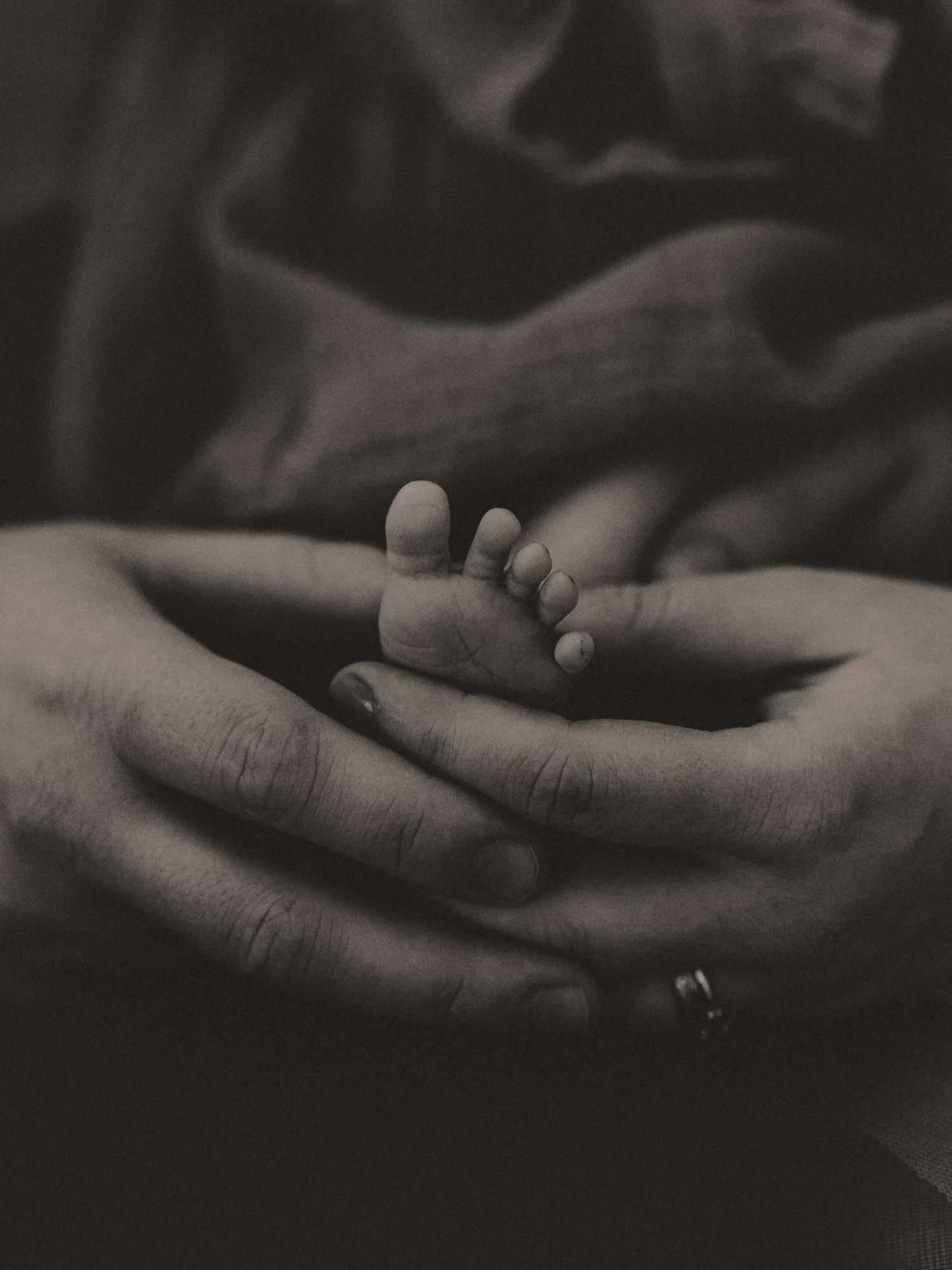 Close up black and white photo of tiny baby feet cradled in gentle hands.