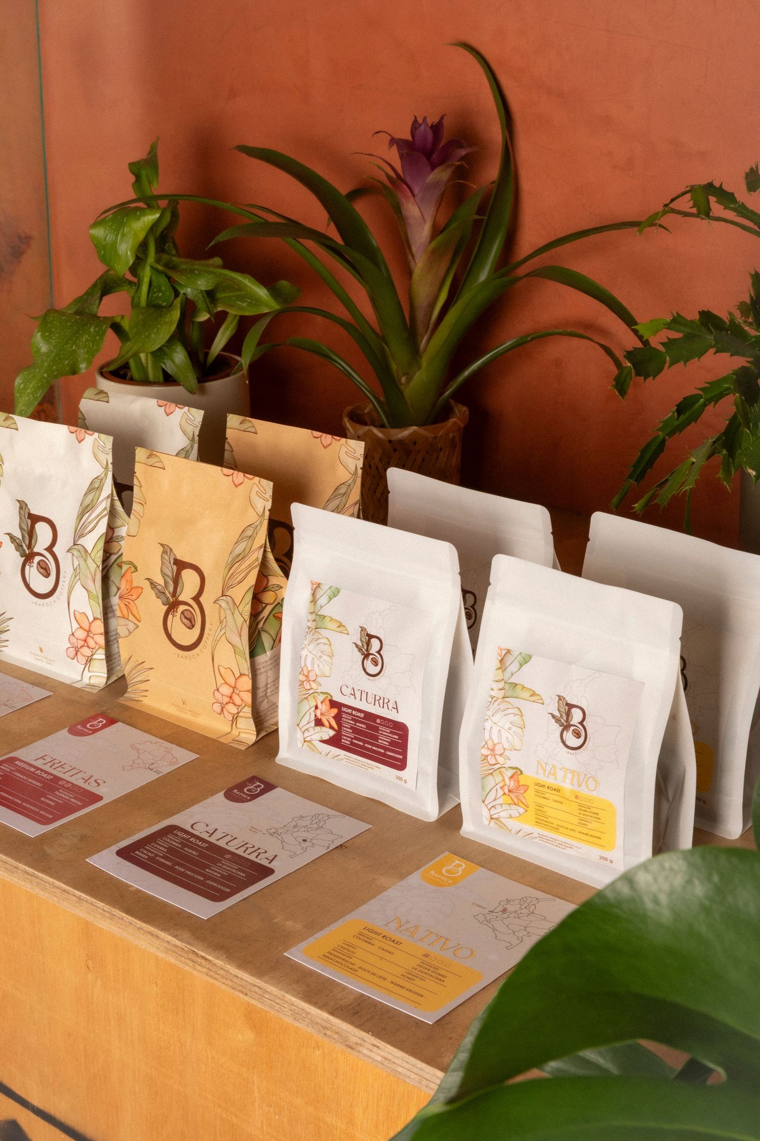 Artisan coffee bags with floral branding displayed on wooden shelf with tropical plants against terracotta wall.