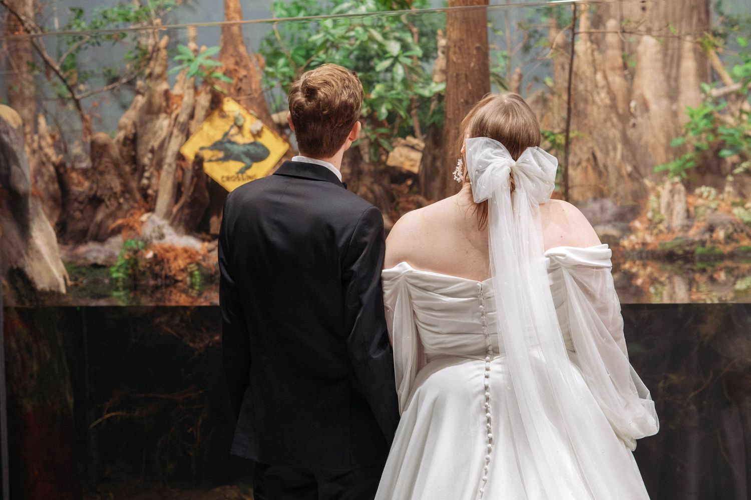 A couple in wedding attire stands together at a scenic overlook framed by tall trees and autumn foliage.