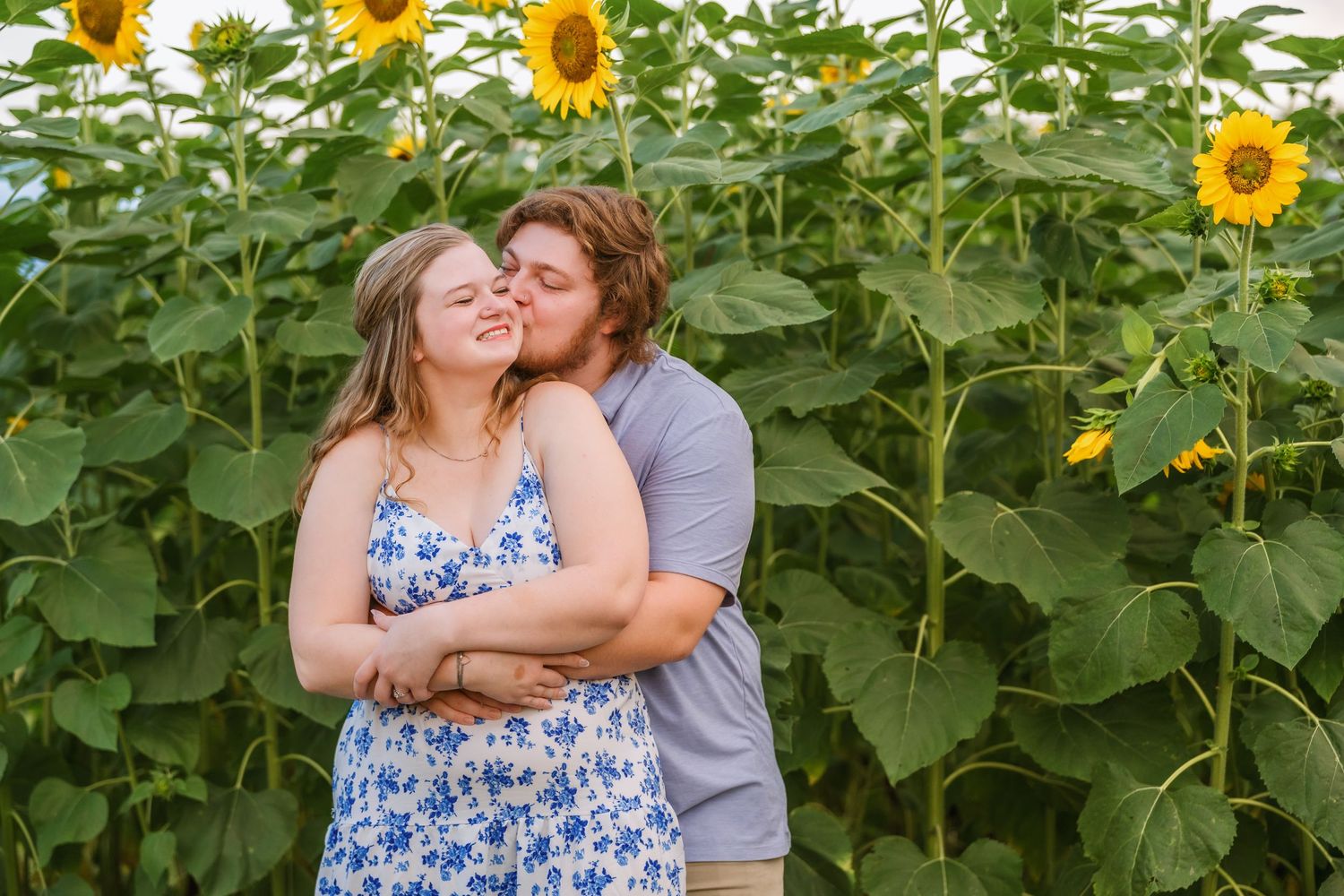 Romantic couple embracing among tall blooming sunflowers in a summer garden.