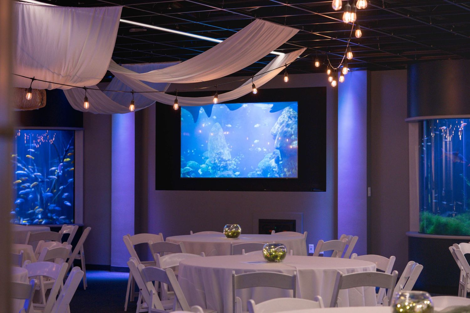 An elegant wedding reception venue with white draping and blue aquarium walls creating ambient lighting.