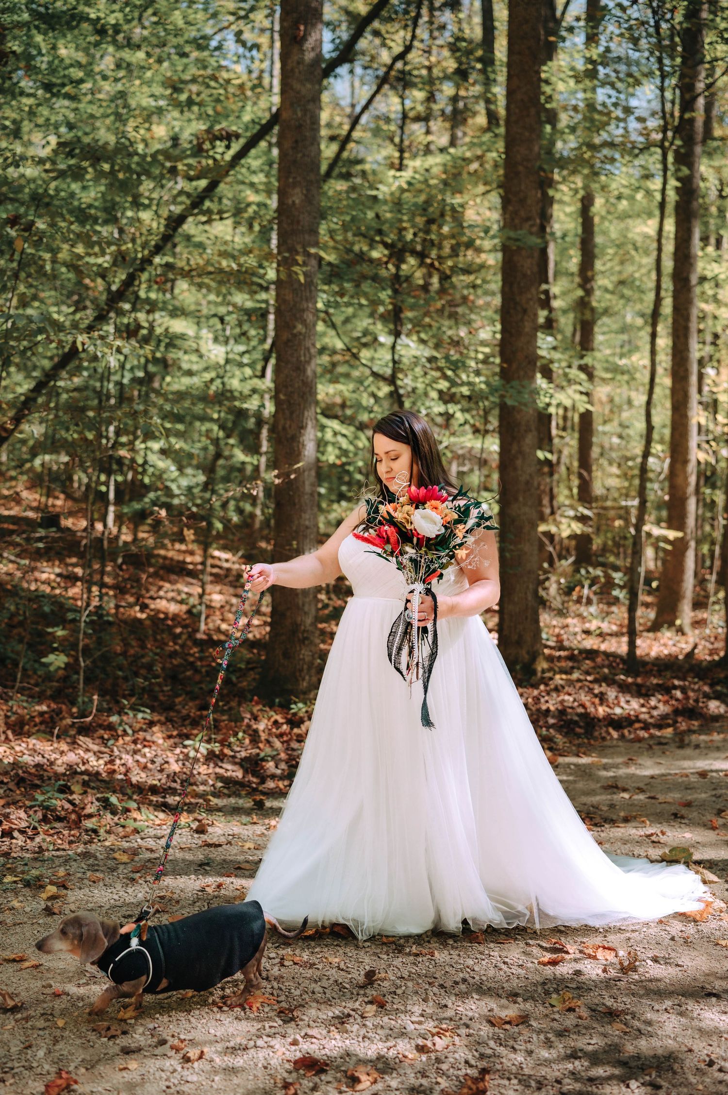 Person in a white wedding dress sits on forest ground with fall leaves while a black dog lays nearby in the sunlit woods.