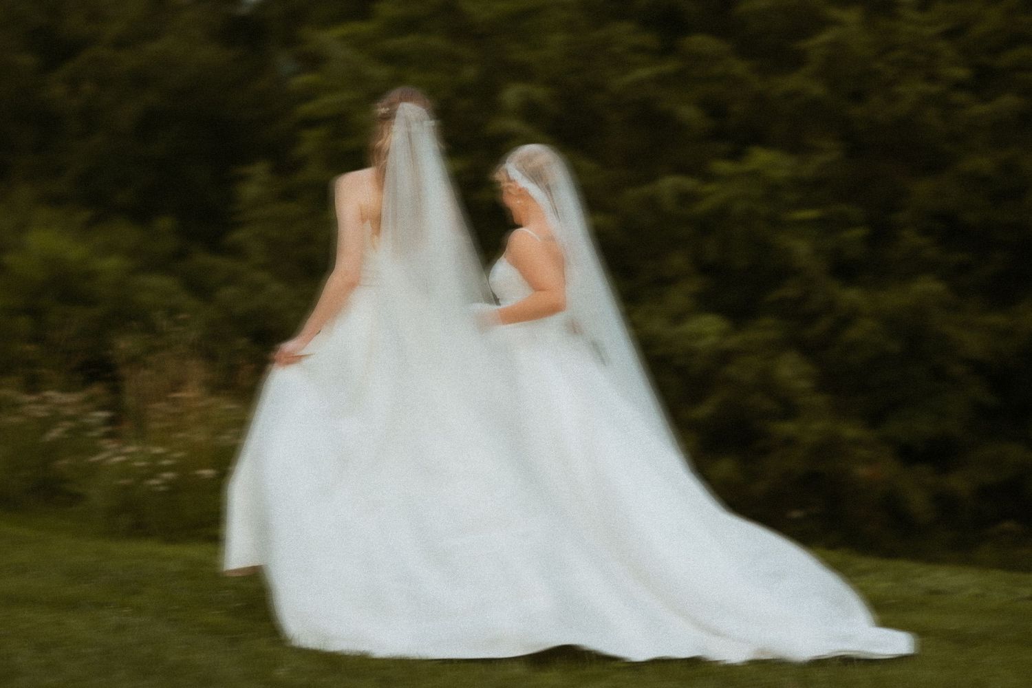 A classic white bridal gown with a flowing train is photographed against lush green foliage in natural lighting.