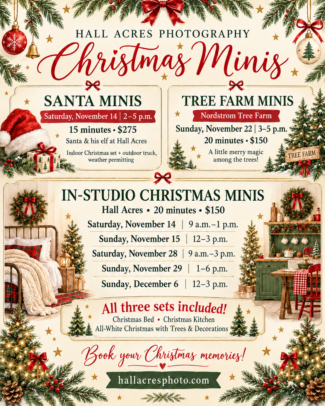 Hall Acres Photography Christmas Minis flyer with Santa, tree farm, and in-studio session dates, times, and pricing.