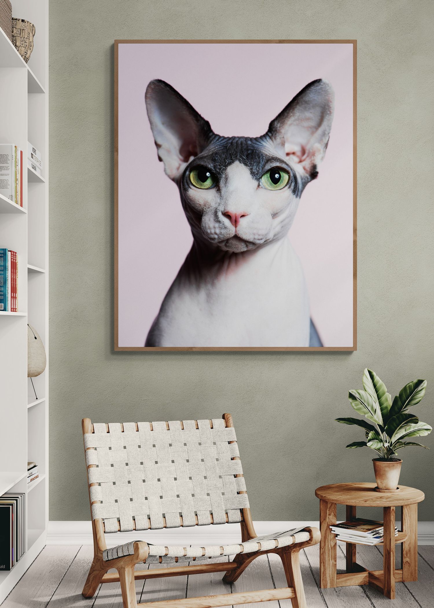 Portrettbilde av nakenkatt som veggkunst i et moderne hjem – kunstprint i gallerikvalitet fra MØ Dyrefoto