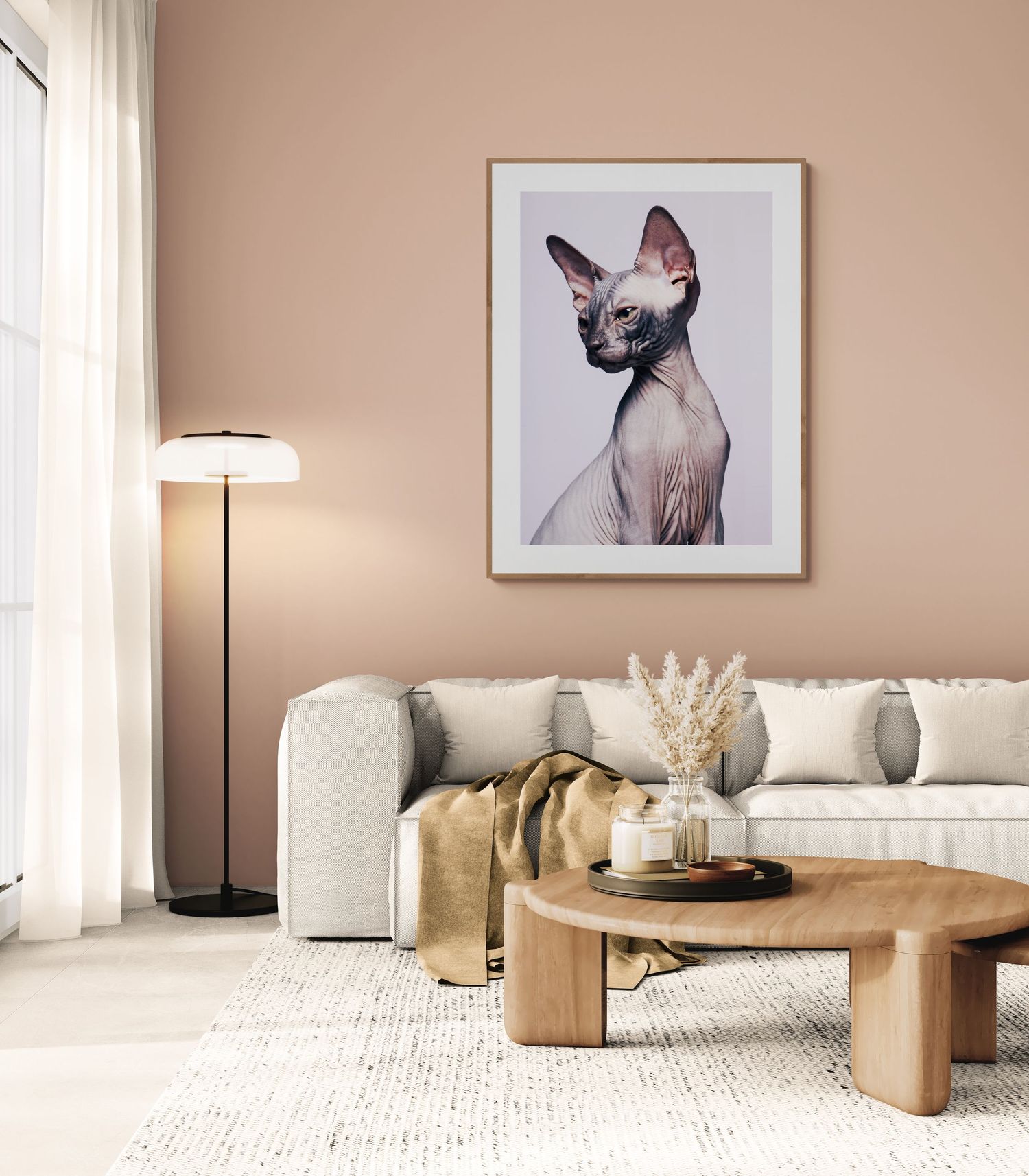 Studioportrett av Sphynx-katt som veggkunst over sofa – høykvalitets kunstprint til hjemmet
