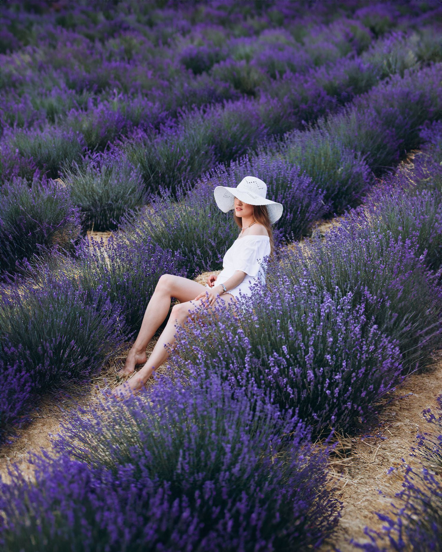 Woman in white dress and sunhat sitting among rows of blooming purple lavender flowers in a scenic field.