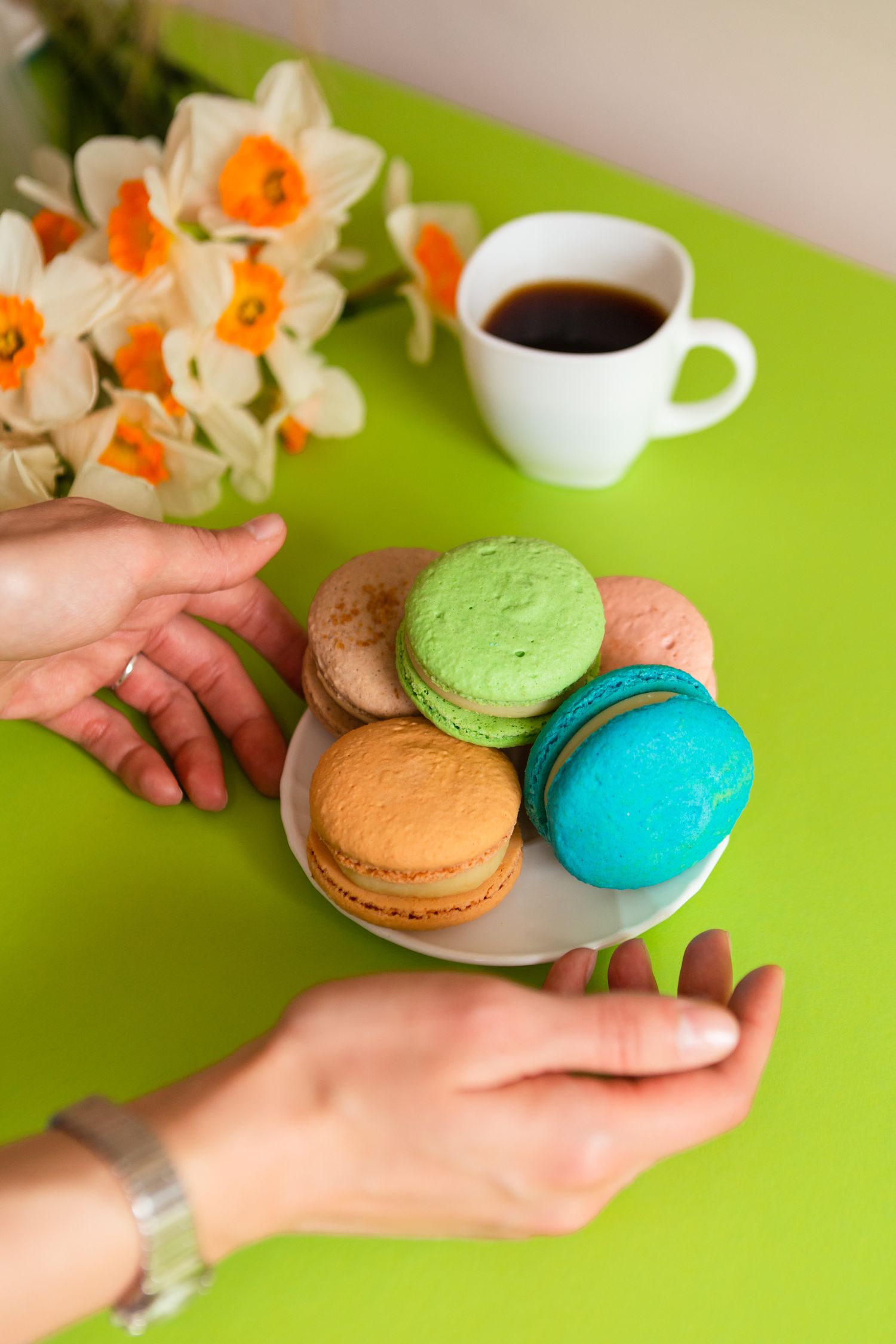 Colorful French macarons on a plate with coffee and daffodils on a bright green surface.