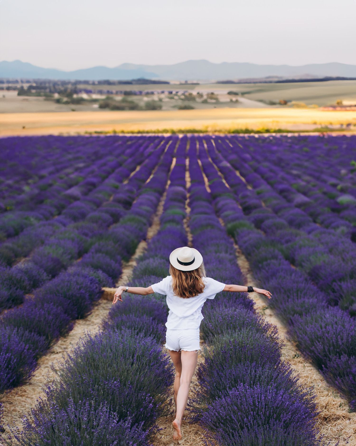 Person in white dress and hat with arms spread in lavender field at sunset.