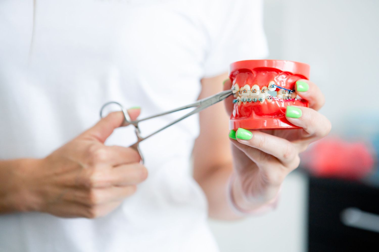 Hands demonstrating dental care techniques using red plastic teaching model.