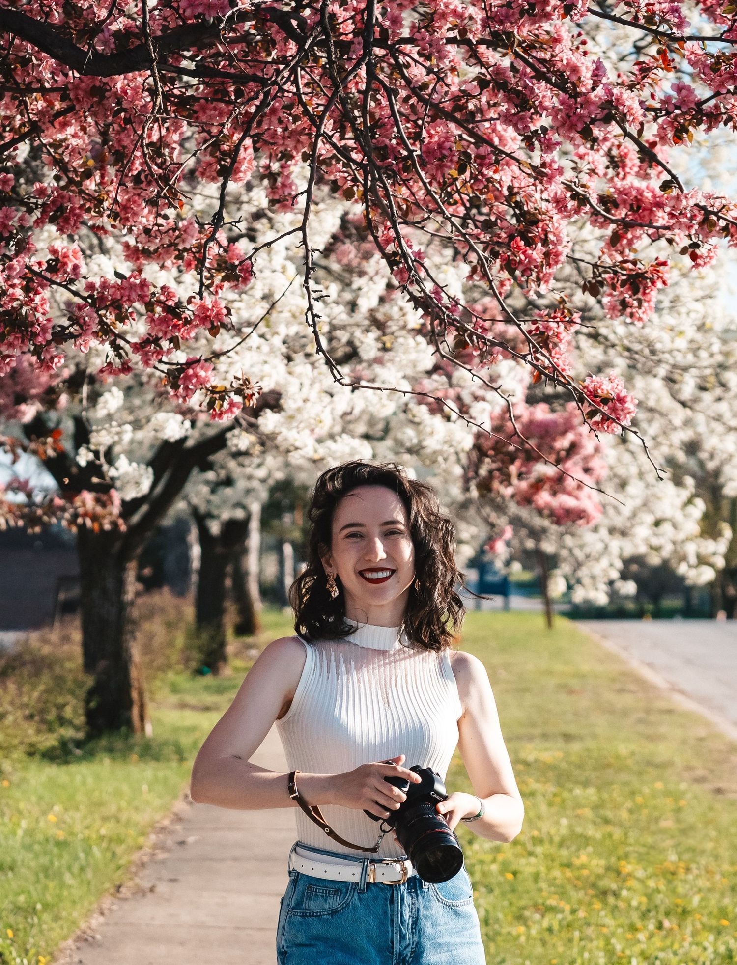 A photographer stands under blooming pink cherry blossom trees on a spring sidewalk during peak bloom season.