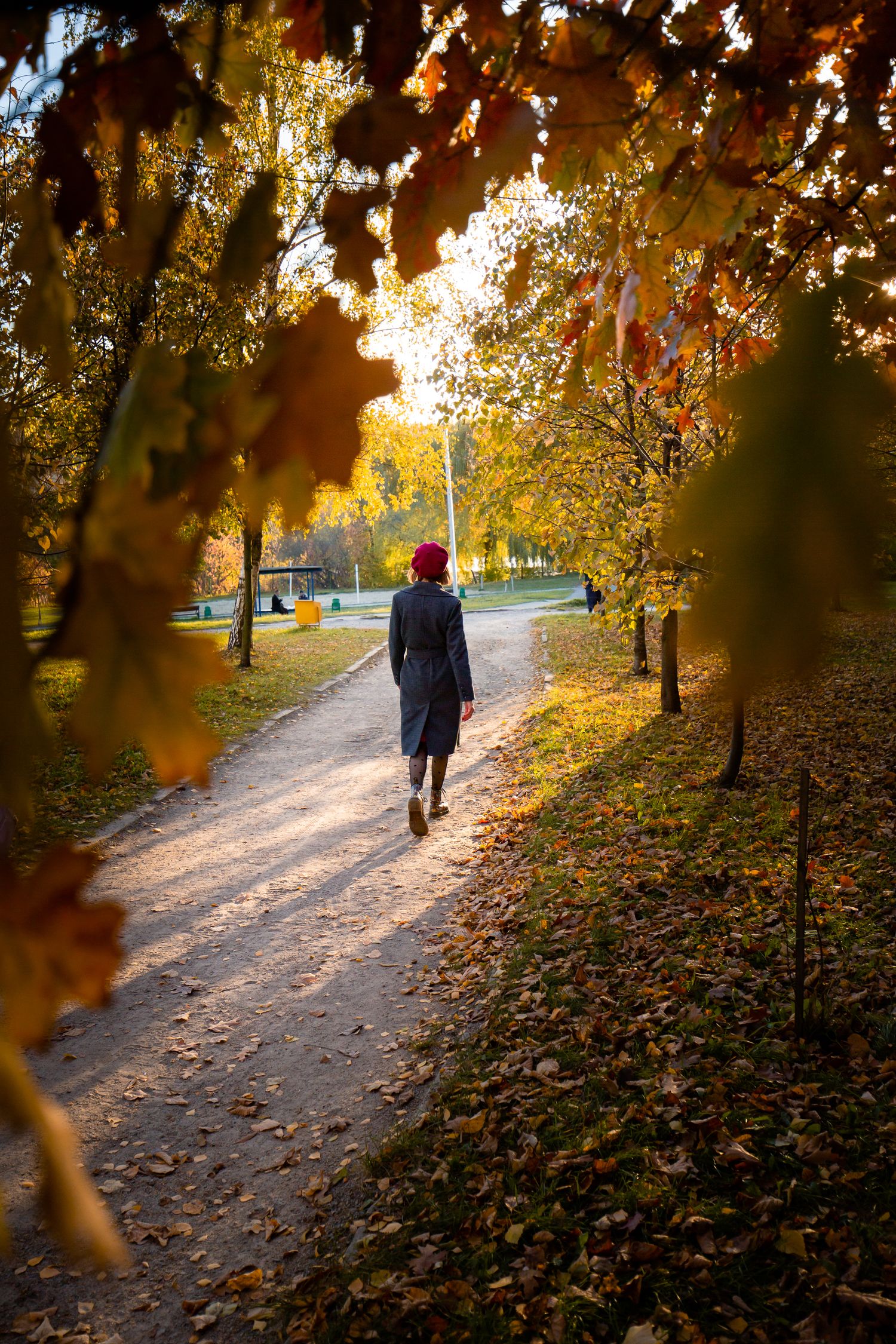 Person in dark coat walking along autumn park path with golden leaves and sunlight.