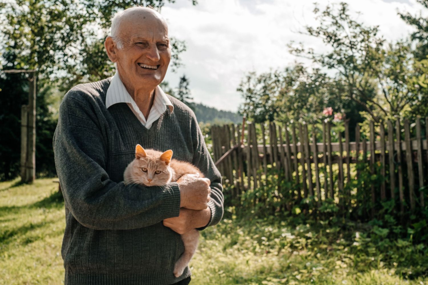Senior person holding orange cat in garden with wooden fence background.