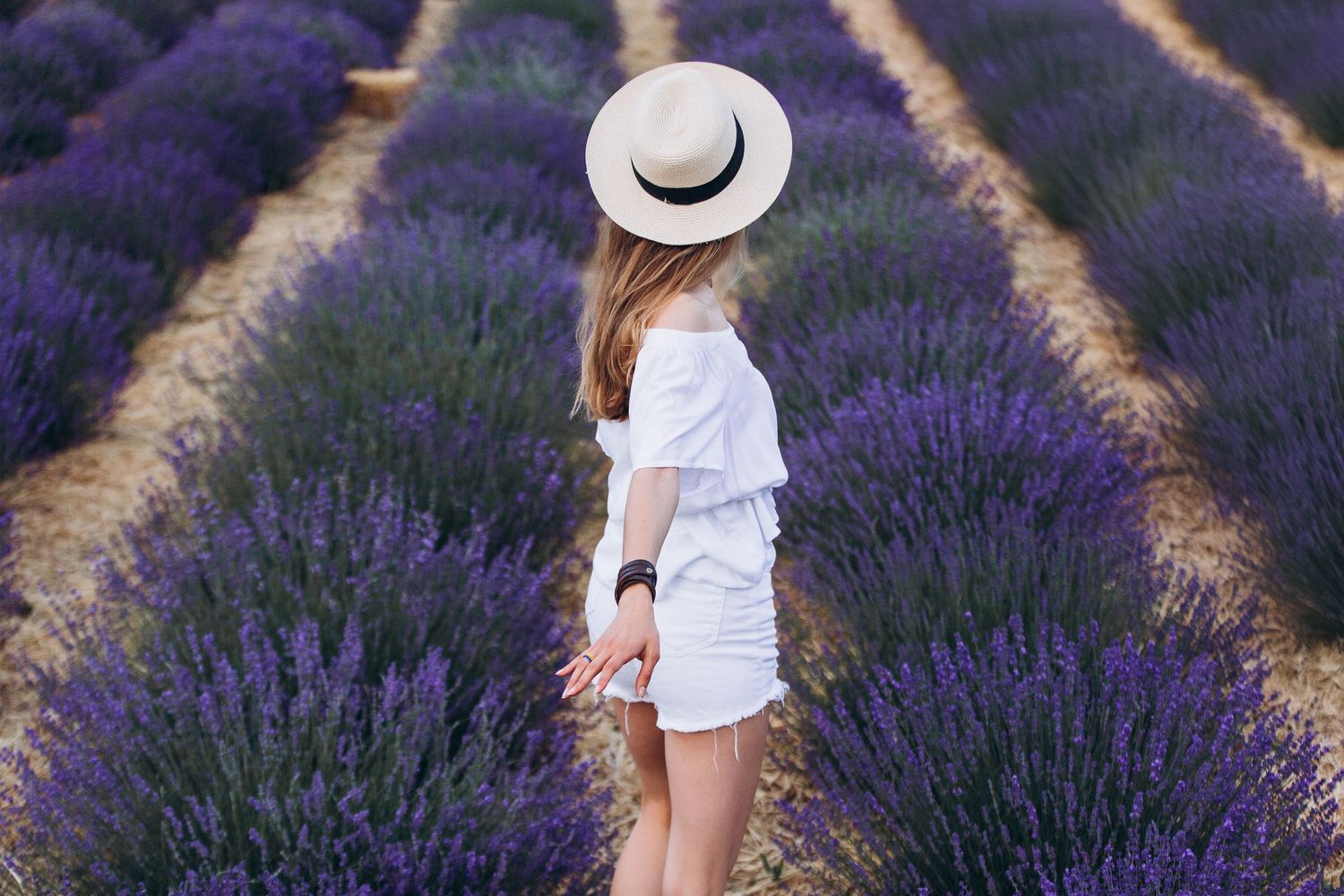 Figure in white outfit and hat standing among rows of purple lavender.