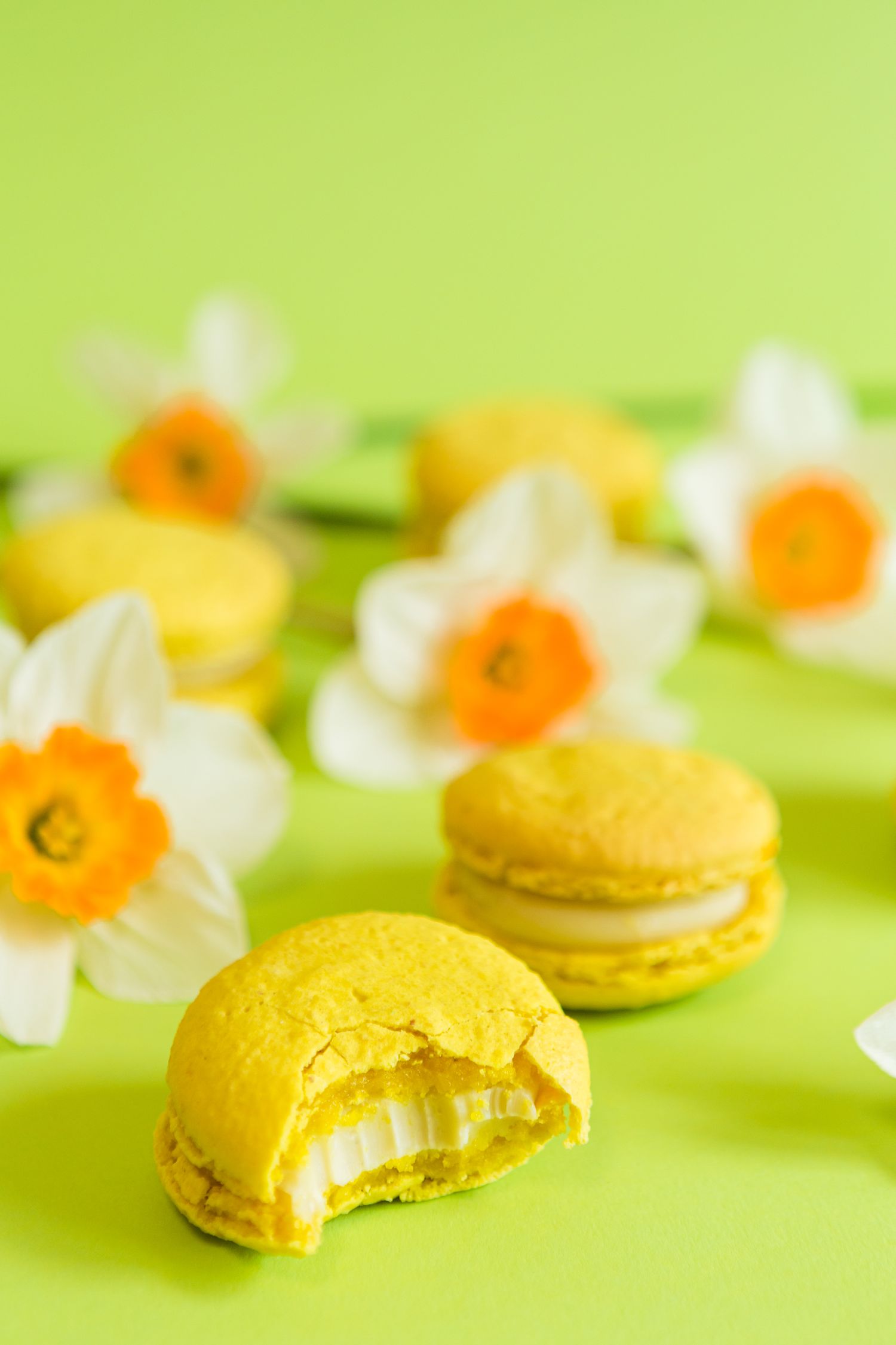 Yellow macarons with cream filling alongside daffodil flowers on lime green background.