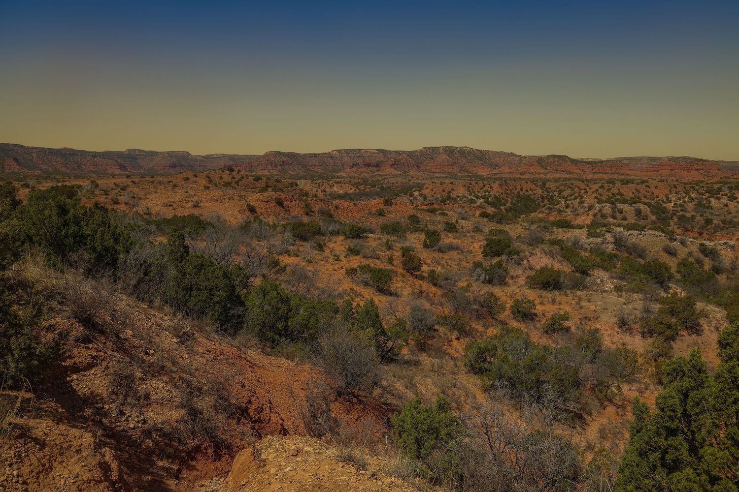 Landscape of the desert